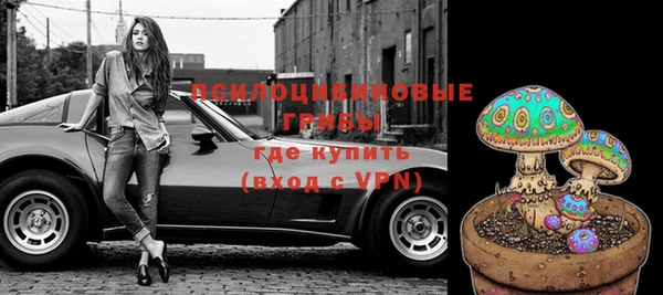 ГАЛЛЮЦИНОГЕННЫЕ ГРИБЫ Белоозёрский