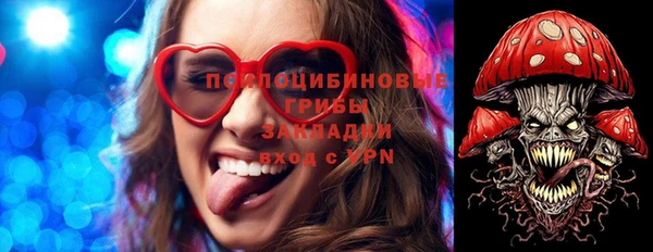 гашик Беломорск